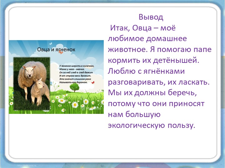 Проект на тему «Овца, как одна из основ экологической культуры»