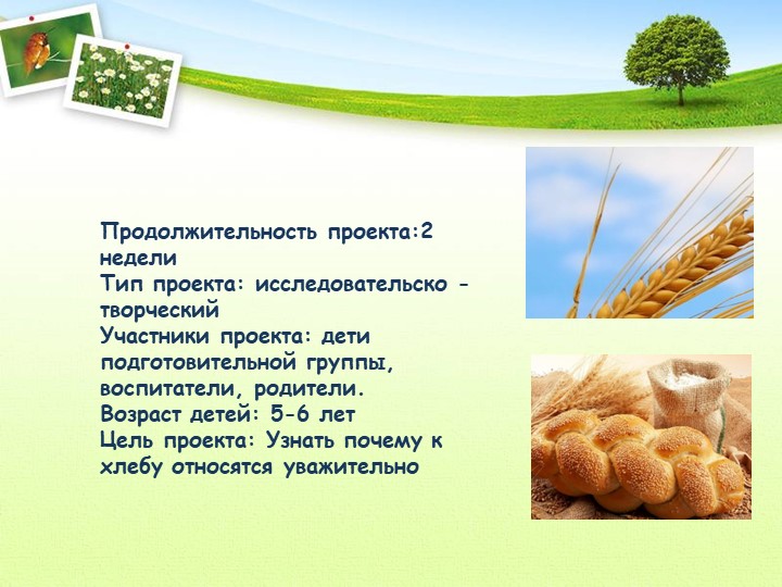 Проект "Откуда хлеб пришел"