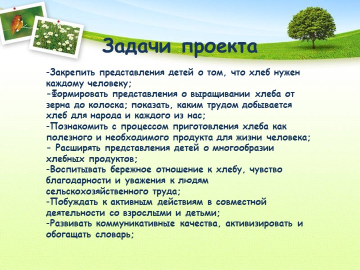 Проект "Откуда хлеб пришел"