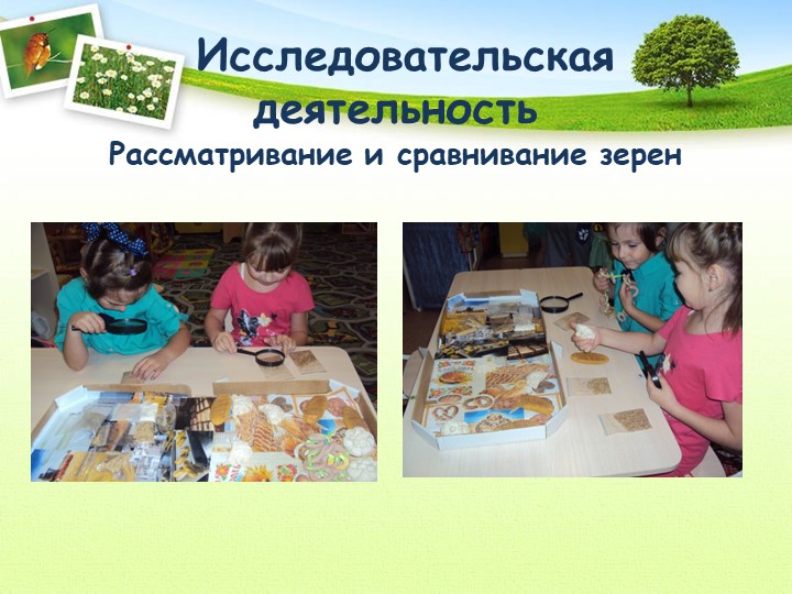 Проект "Откуда хлеб пришел"