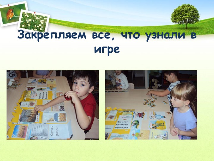 Проект "Откуда хлеб пришел"