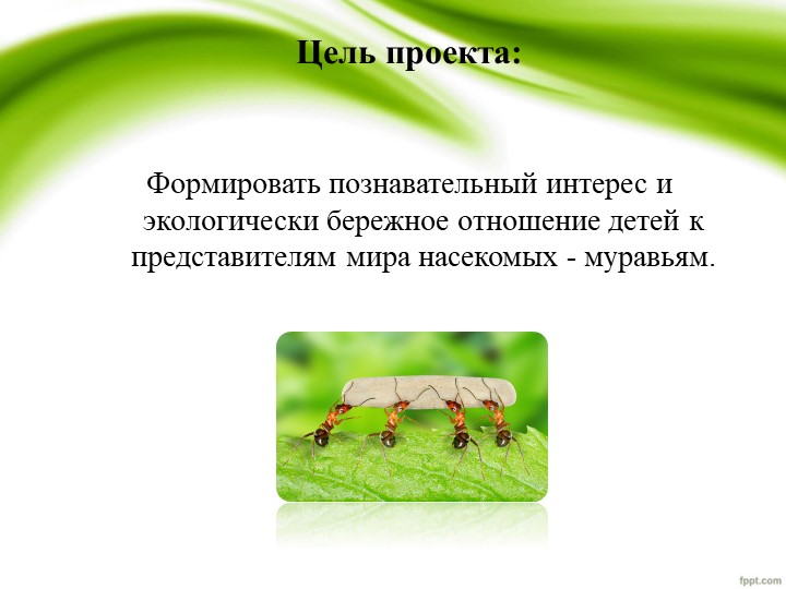 Презентация по проекту "Удивительные муравьишки"