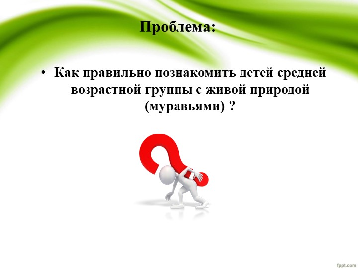 Презентация по проекту "Удивительные муравьишки"