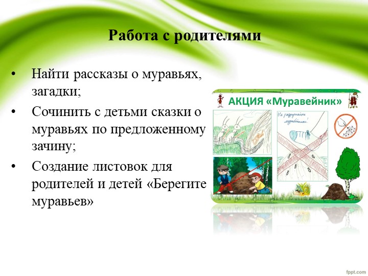 Презентация по проекту "Удивительные муравьишки"