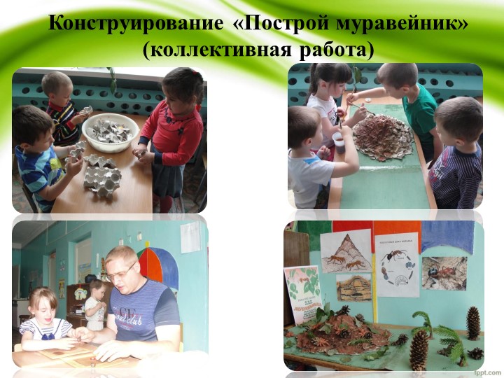 Презентация по проекту "Удивительные муравьишки"