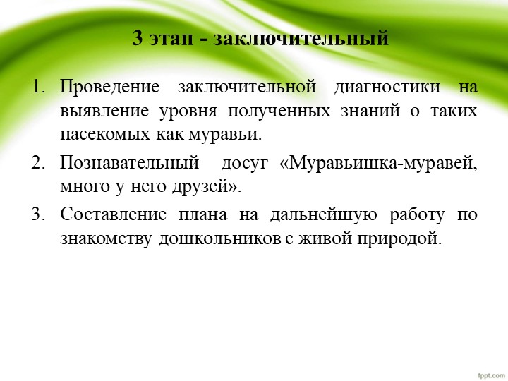 Презентация по проекту "Удивительные муравьишки"