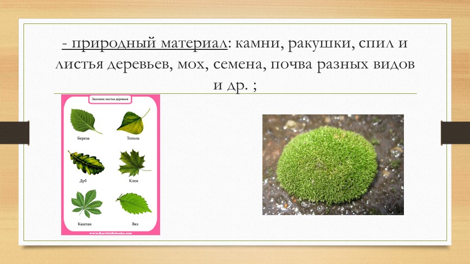 Организация и проведение экспериментов с дошкольниками. Содержание уголков экспериментальной деятельности.