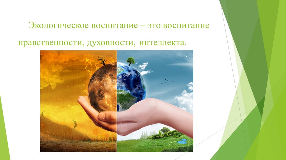 Экологическое воспитание дошкольников в ДОУ