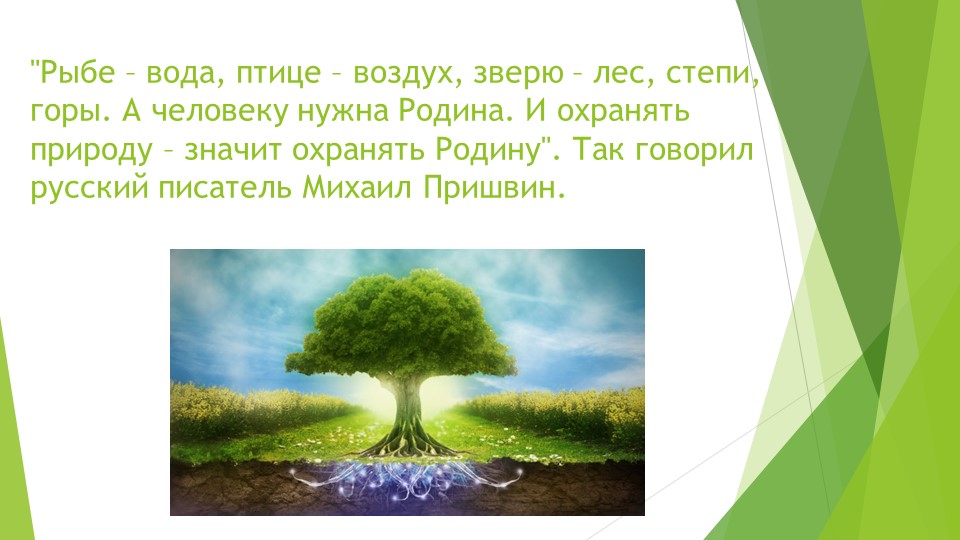 Экологическое воспитание дошкольников в ДОУ