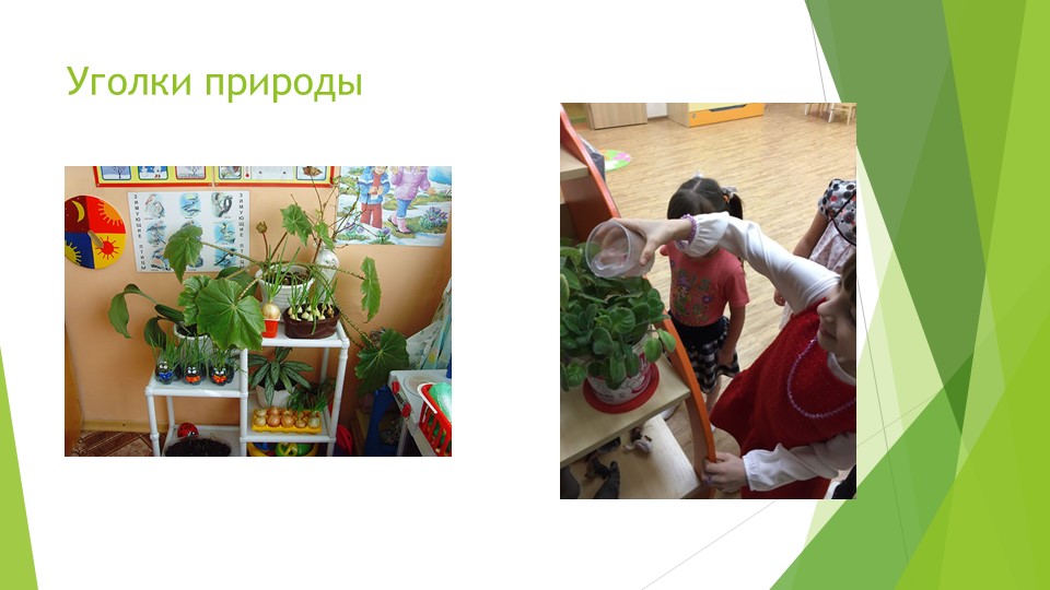 Экологическое воспитание дошкольников в ДОУ