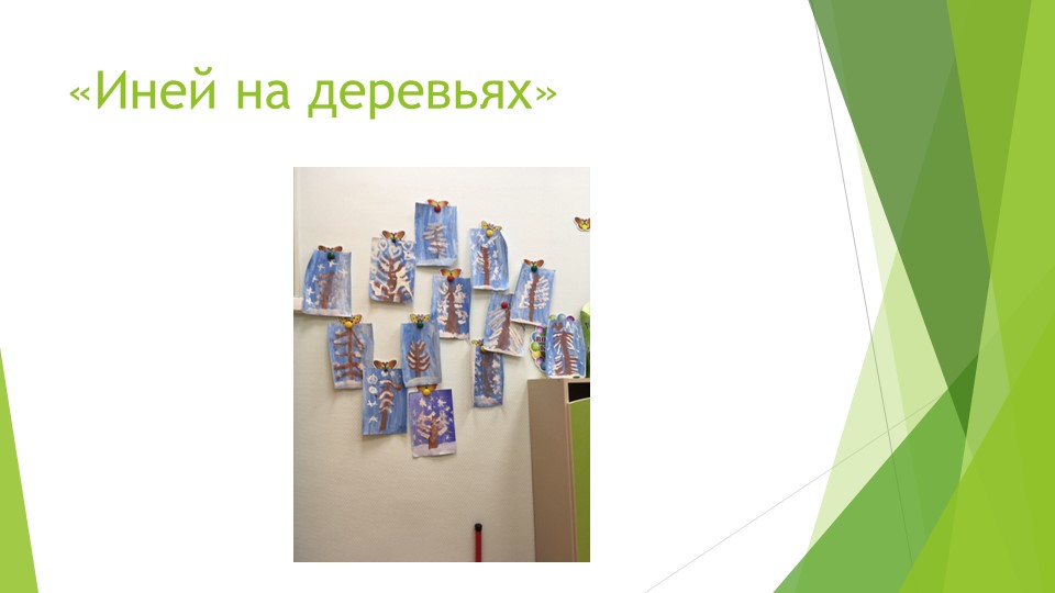 Экологическое воспитание дошкольников в ДОУ