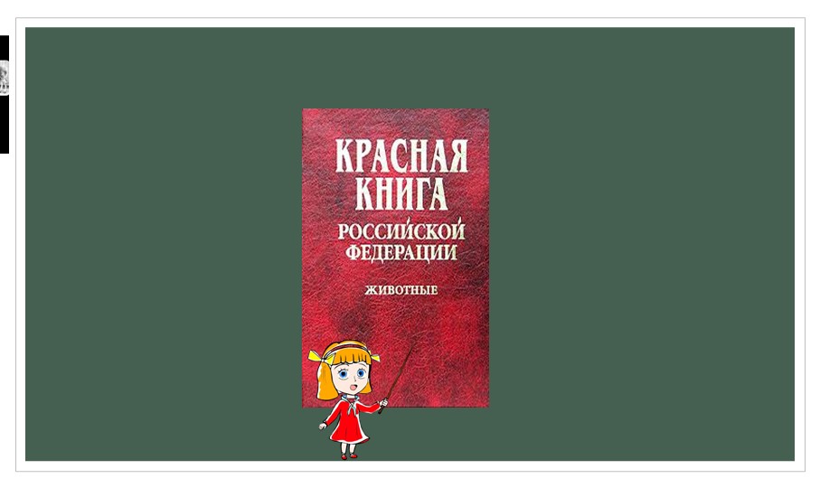 Презентация по ознакомлению с окружающим миром для детей 5-7 лет