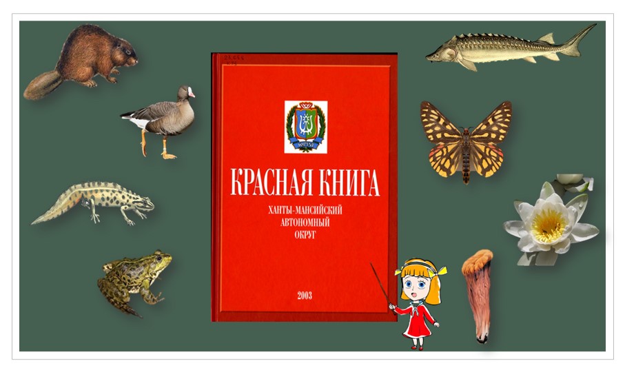 Презентация по ознакомлению с окружающим миром для детей 5-7 лет