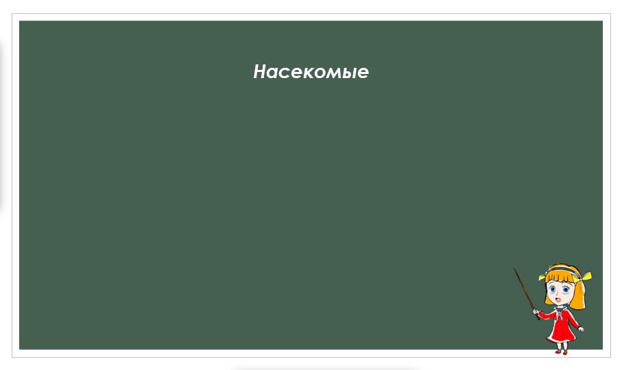 Презентация по ознакомлению с окружающим миром для детей 5-7 лет
