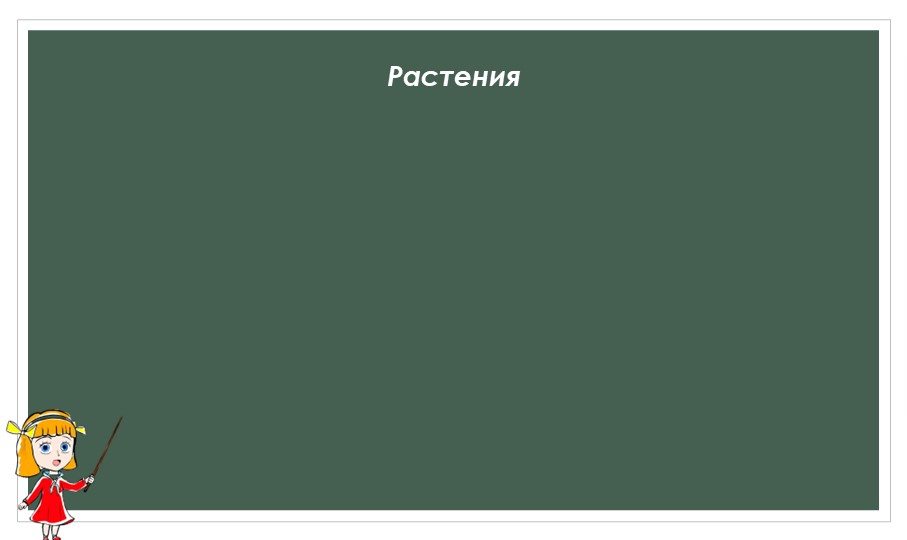 Презентация по ознакомлению с окружающим миром для детей 5-7 лет