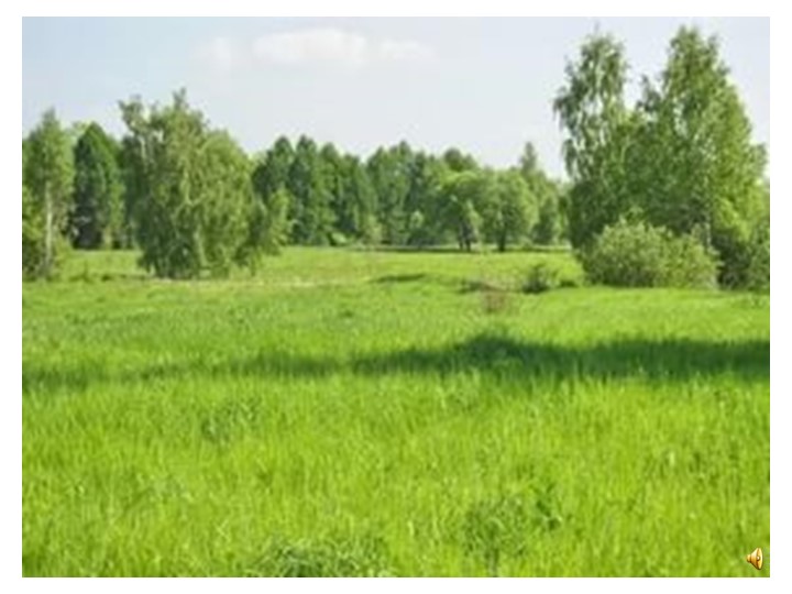 Презентация ко Дню птиц
