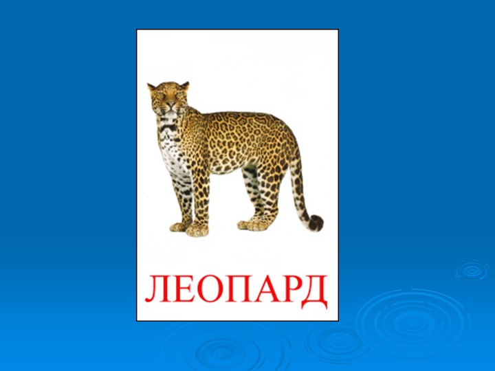Презентация к викторине "Природа и я верные друзья"