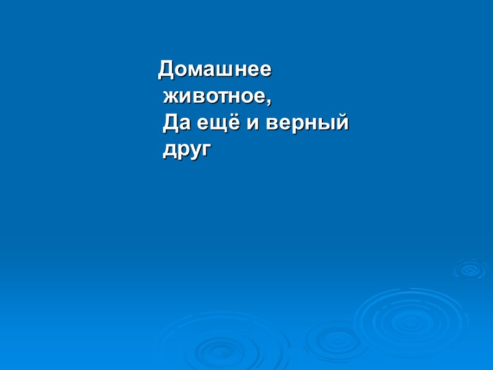 Презентация к викторине "Природа и я верные друзья"