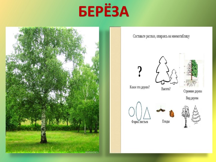 Презентация "Путешествие в лес"