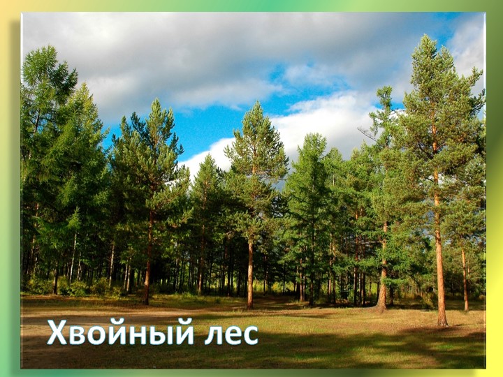 Презентация "Путешествие в лес"