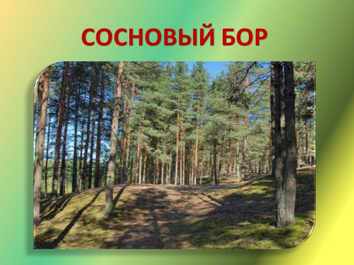 Презентация "Путешествие в лес"