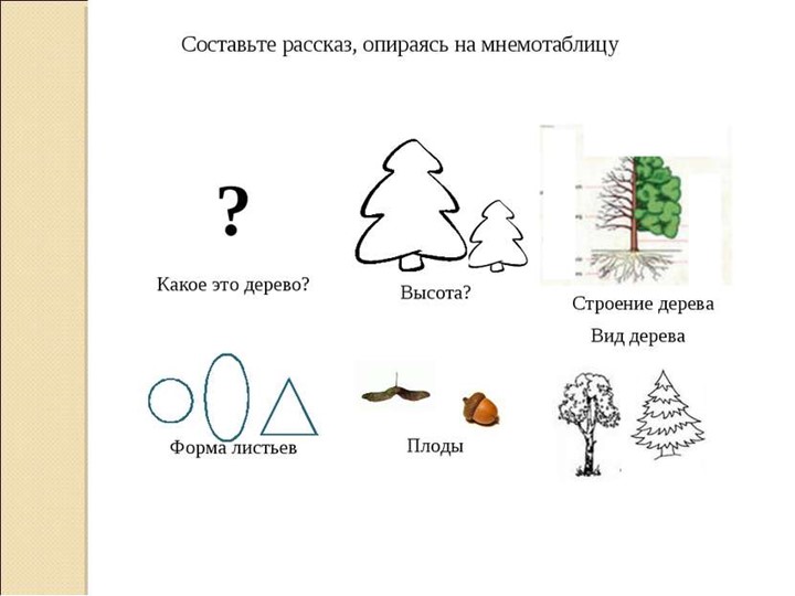 Презентация "Путешествие в лес"