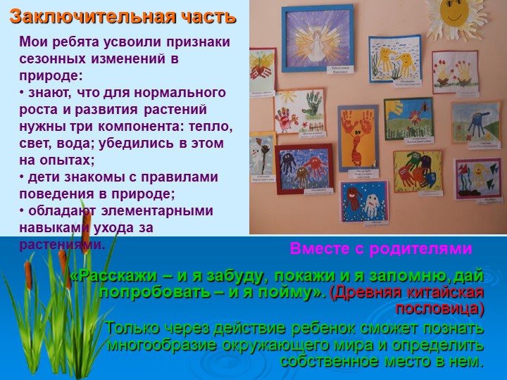 Презентация по экологии "Юные исследователи"