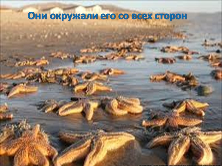 Презентация на тему "Роль родителей в нравственном воспитании детей"