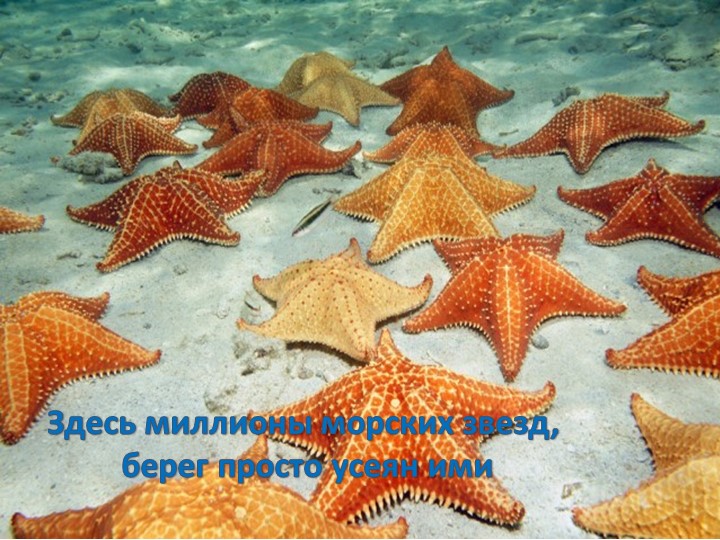 Презентация на тему "Роль родителей в нравственном воспитании детей"
