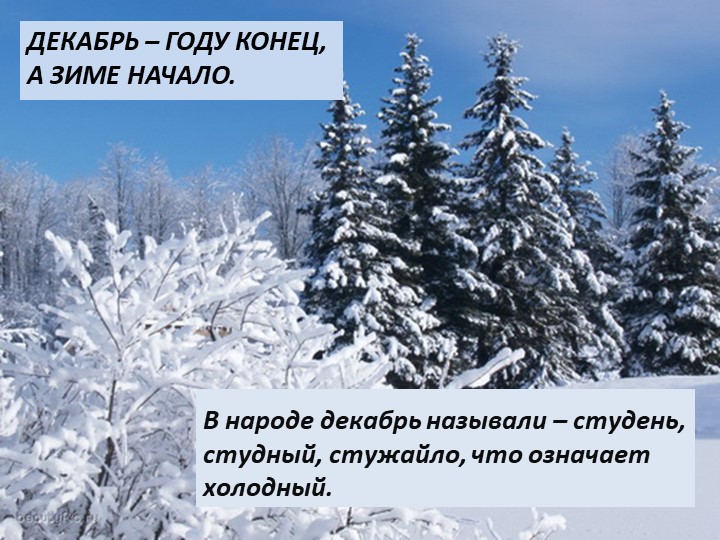 Презентация на тему "Здравствуй зимушка-зима"