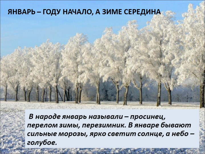 Презентация на тему "Здравствуй зимушка-зима"