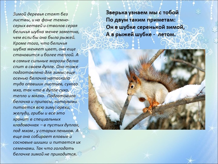 Презентация на тему "Здравствуй зимушка-зима"
