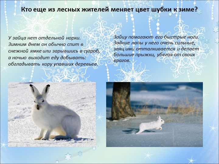 Презентация на тему "Здравствуй зимушка-зима"