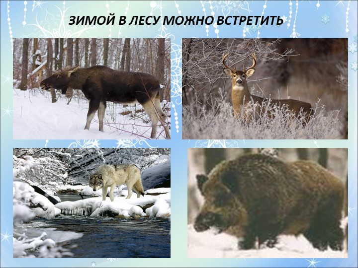 Презентация на тему "Здравствуй зимушка-зима"