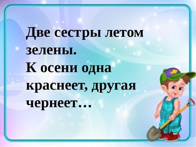 Презентация по ЗОЖ