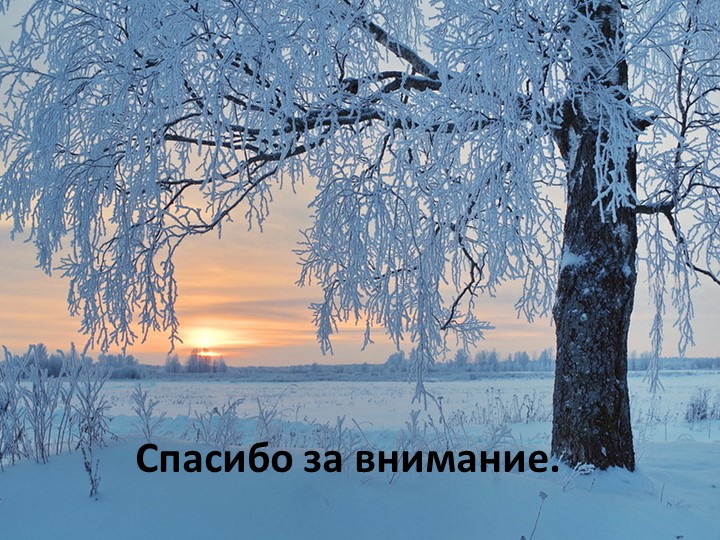 Презентация урока Берегите природу зимой!