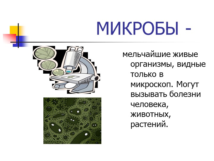 Презентация на тему "Чистота залог здоровья"