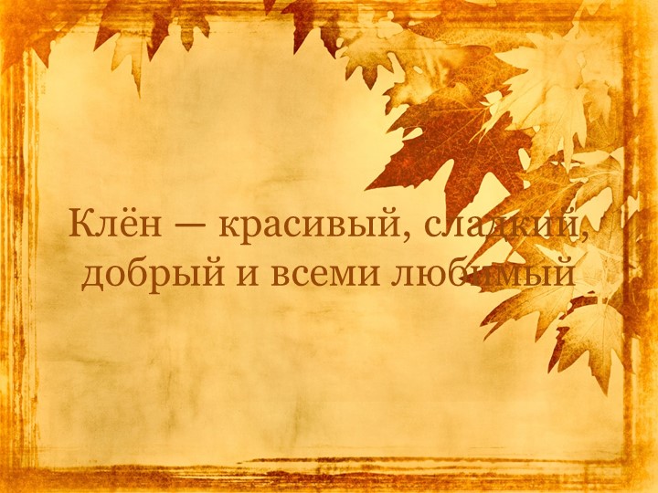 Презентация "Экологическая тропа-объект "Клен"