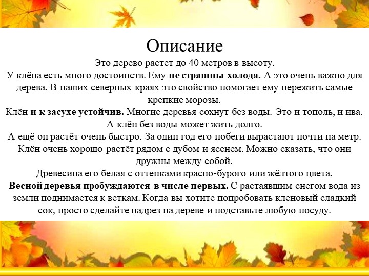 Презентация "Экологическая тропа-объект "Клен"