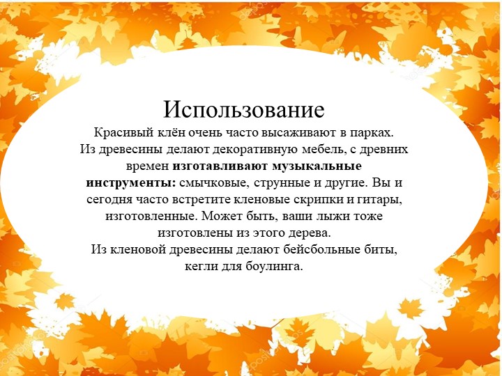 Презентация "Экологическая тропа-объект "Клен"