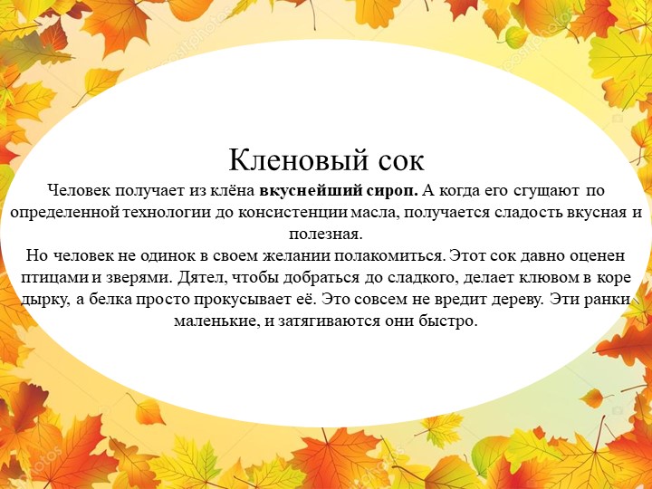 Презентация "Экологическая тропа-объект "Клен"