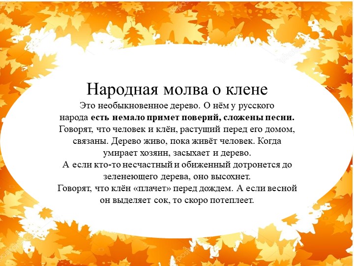 Презентация "Экологическая тропа-объект "Клен"