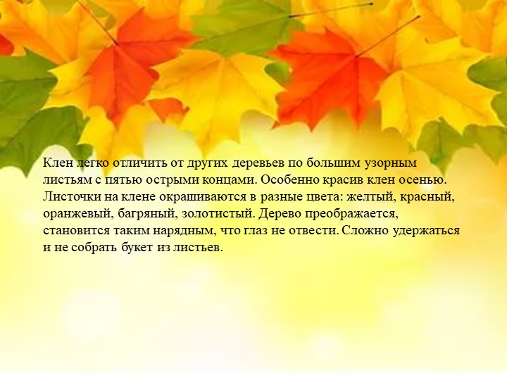 Презентация "Экологическая тропа-объект "Клен"