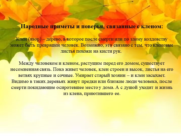 Презентация "Экологическая тропа-объект "Клен"