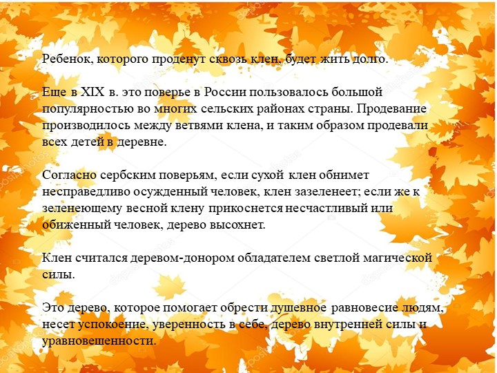Презентация "Экологическая тропа-объект "Клен"