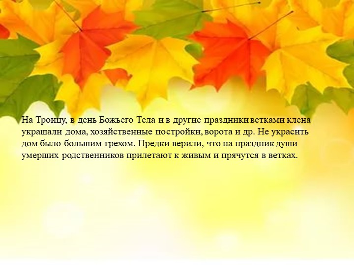 Презентация "Экологическая тропа-объект "Клен"