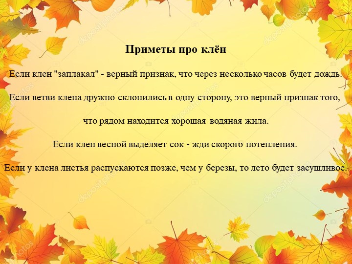 Презентация "Экологическая тропа-объект "Клен"