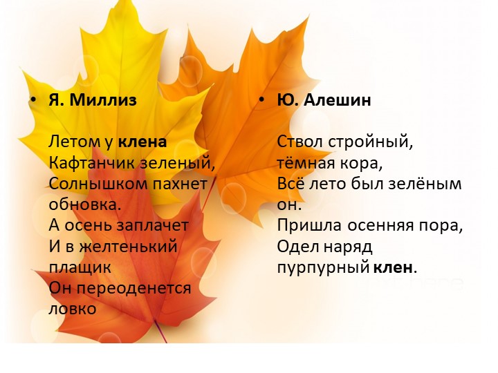 Презентация "Экологическая тропа-объект "Клен"