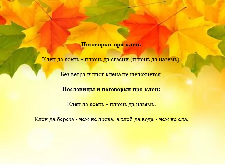 Презентация "Экологическая тропа-объект "Клен"
