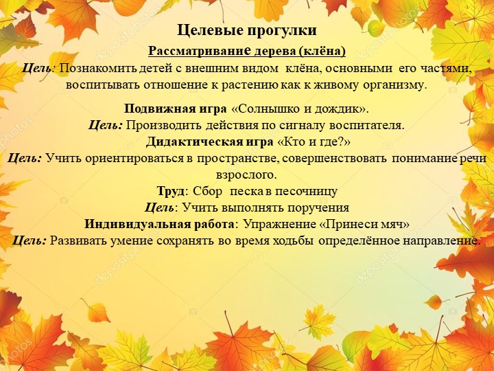 Презентация "Экологическая тропа-объект "Клен"